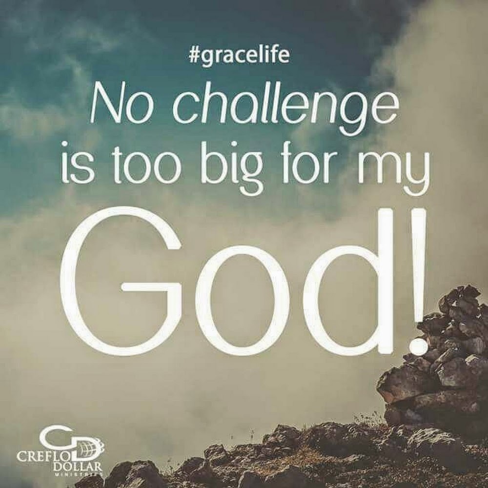 Meet your Posher, Evelyn